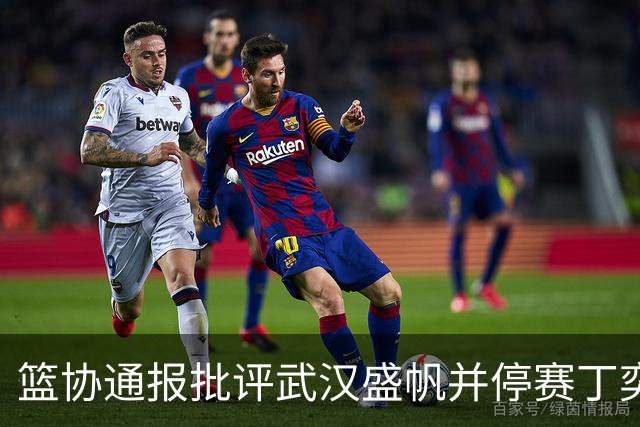 篮协通报批评武汉盛帆并停赛丁奕可8场